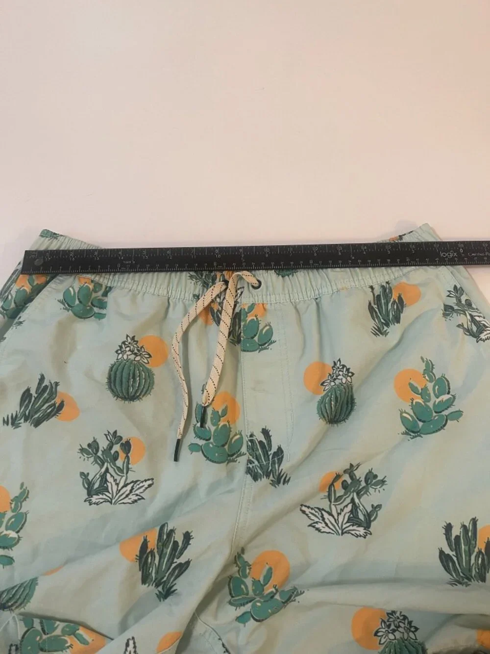 Public Access XL Cactus Print Swim Trunks Mint Green Beach Shorts